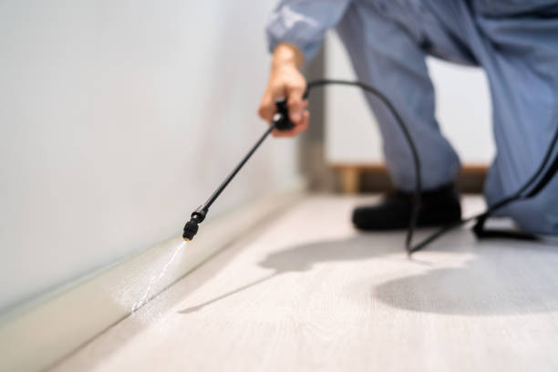 Certified termite inspector examining foundation in Lecanto